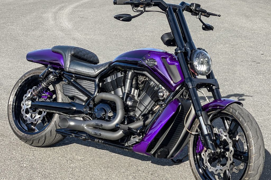 Harley-purple2-RNZ-1