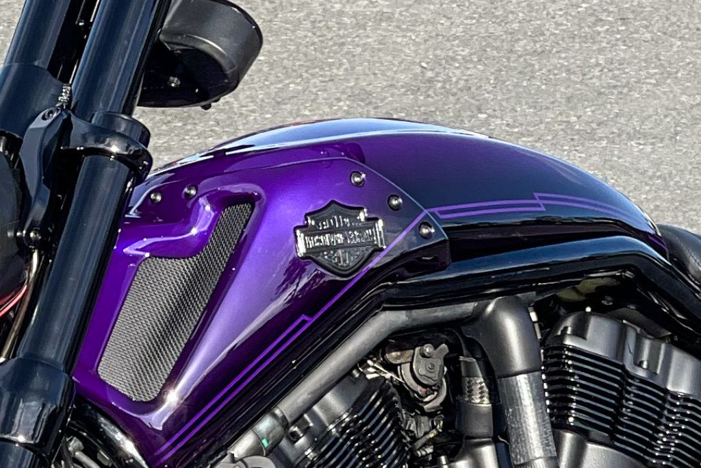 Harley-purple3-RNZ